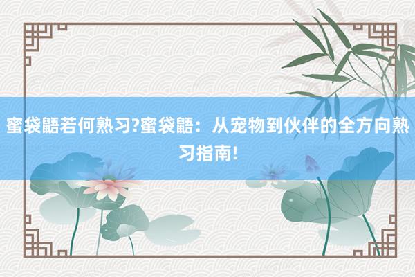 蜜袋鼯若何熟习?蜜袋鼯：从宠物到伙伴的全方向熟习指南!